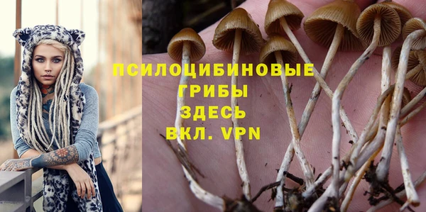 спайс Алексеевка