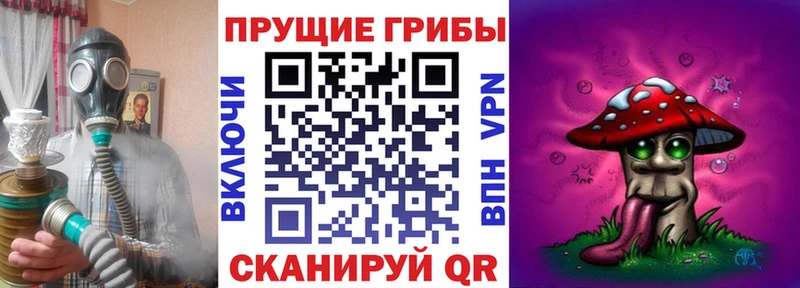 сайты даркнета какой сайт  Комсомольск  Псилоцибиновые грибы мицелий 
